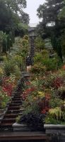 Insel Mainau