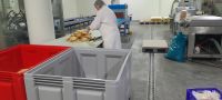 Bio-Felsenkellerei
