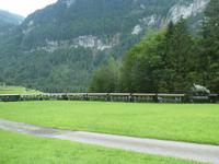 Bregenzer Wald