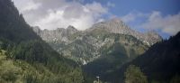 Bregenzer Wald