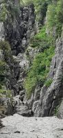 Ursprung Alm