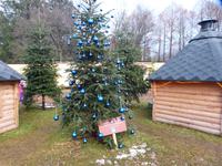 Auch blaue Kugeln hängen an Weihnachtsbäumen