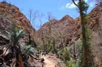 Alice Springs und MacDonnell Ranges - Standley Chasm