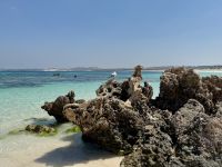 5. Tag: Tagesausflug auf die Rottnest Island – Fahrradtour – Strand an der Parker Point Sanctuary Zone