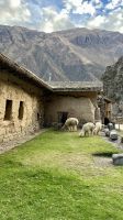Ollantaytambo- Cuzco- Peru
