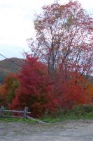 Indian Summer