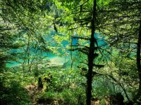 Naturpark Blausee 
