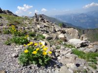 Niesen, Reichenbach i.K. , Schweiz