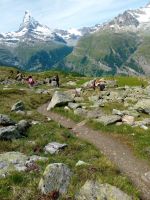 Blumenweg Rothorn