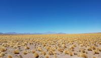 Rundreise Südamerika – Chile und Argentinien Santiago de Chile – Atacama-Wüste – Valparaiso – Punta Arenas – Torres del Paine – Perito Moreno-Gletscher – Buenos Aires (135)