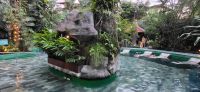 42 Paradise Hot Springs