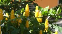 Farmbesuch