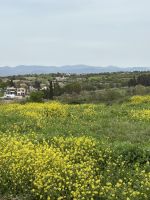 Ausblick auf Kathikas