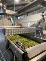 Olivenpresse