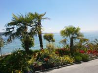 Ausflug Mainau