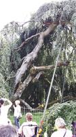 Baden-Baden (3)