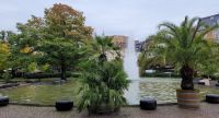 0402 Baden-Baden