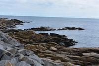 Bornholm