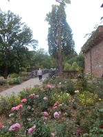 DSCN6482.JPG    Rosengarten