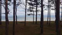 Blick von Hotelseite zum Strand