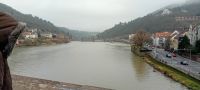 Der Neckar