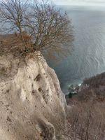 Silvester_2025_Binz: Königsstuhl Kreidefelsen-C.D.F.-Blick