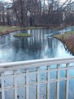 12 Schlosspark Branitz