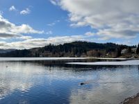 2. Tag: Ausflug in den südlichen Schwarzwald – Aufenthalt am Titisee