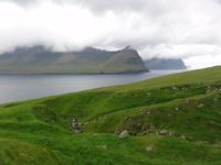 Viðareiði