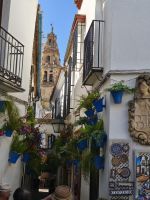 Blumenstraße Cordoba 