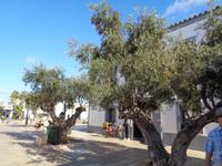 Sant Francesc