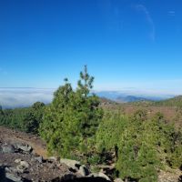 0302 Ausflug Teide Nationalpark