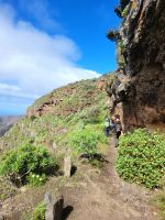 Barranco bei Las Hayas/La Gomera/Kanaren