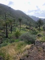 Imada/Blick in den Barranco de Guarimiar/La Gomera/Kanaren