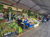 Markthalle La Laguna, Teneriffa