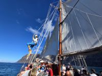 Clipper II, Teneriffa