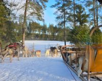 Husky Farm
