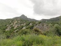 Macchia