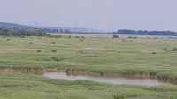 Blick zur Pont de Tancarville