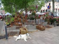 Blumenmarkt, Foix, Frankreich