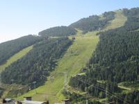 Weltcup Piste
