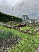 Südengland, Cornwall, Eden Project