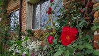 Sissinghurst 20180615 163515