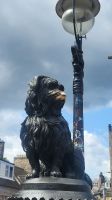 178 - Edinburgh Innenstadt, Bobby