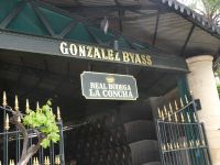 Bodega Tio PEPE