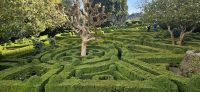Mateus Palast, Garten