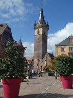Obernai