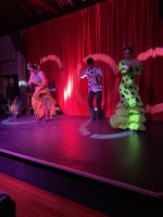 Flamencoshow 