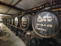 Bodega/Teneriffa/Kanaren