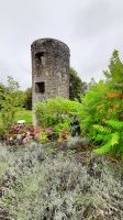 Blarney Castle